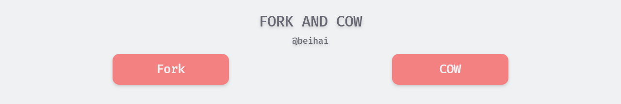 /posts/linux/concurrency-oriented-programming/fork-and-cow/index.assets/fork-and-cow.png